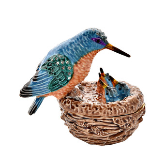 Kingfisher on Nest Box