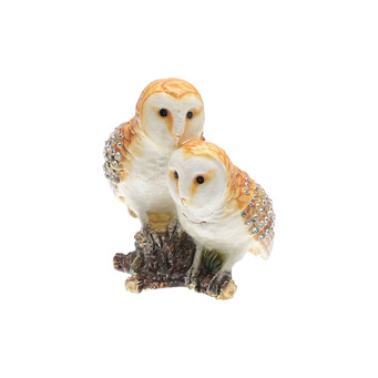 Pair of Barn Owls