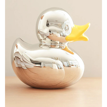 Duck Money Box