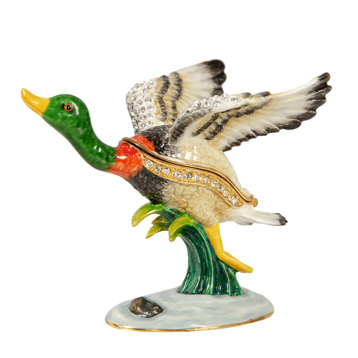 Flying Mallard Duck 