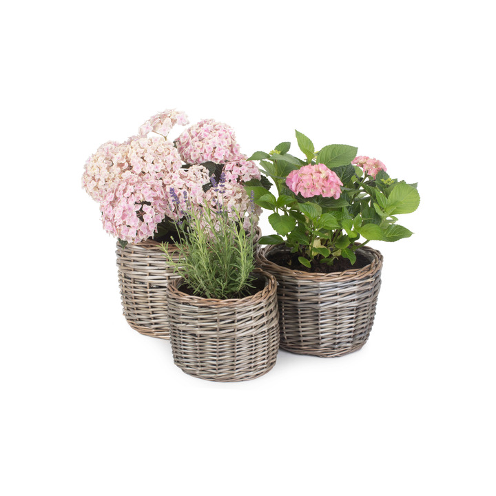 Set Of Three Antique Wash Willow Planters Finest Silver Gifts Set Of Three Antique Wash Willow Planters Finest Silver Gifts