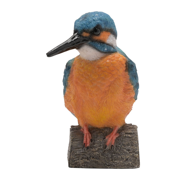 Large Kingfisher on a Log