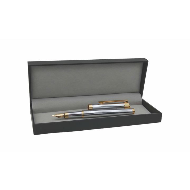 Silver and Gold Finish Fountain Pen