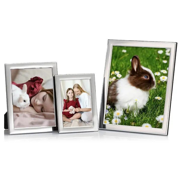 Hallmarked Silver Regency Photo Frames Discreet Hallmarks 